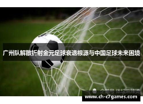 广州队解散折射金元足球衰退根源与中国足球未来困境