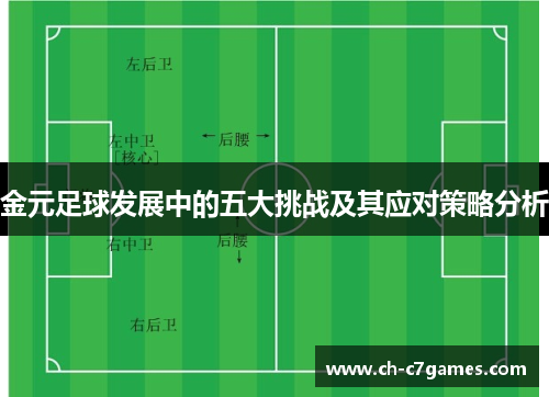 金元足球发展中的五大挑战及其应对策略分析