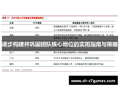 逐步构建并巩固团队核心地位的实用指南与策略