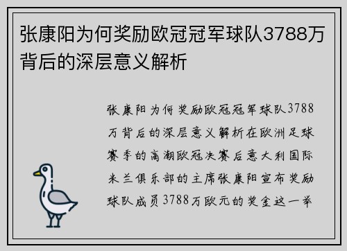 张康阳为何奖励欧冠冠军球队3788万背后的深层意义解析